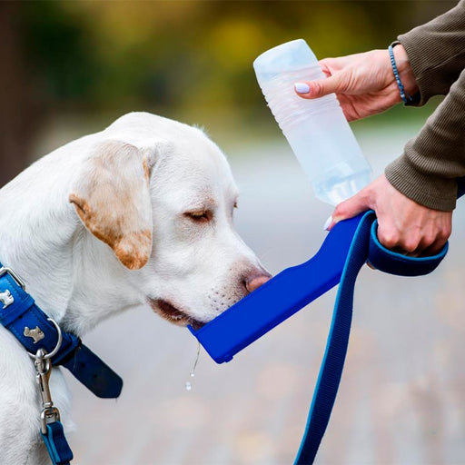 Bebedero para perros, botella para perros 500ml | BronPets©,bebedero para perros, bebederos para gatos, bebedero perro, bebedero gatos, bebedero automatico para perros, bebedero portatil para perros, bebedero de agua para perros, comedero y bebedero para perros, bebedero portatil perro, bebedero electrico,