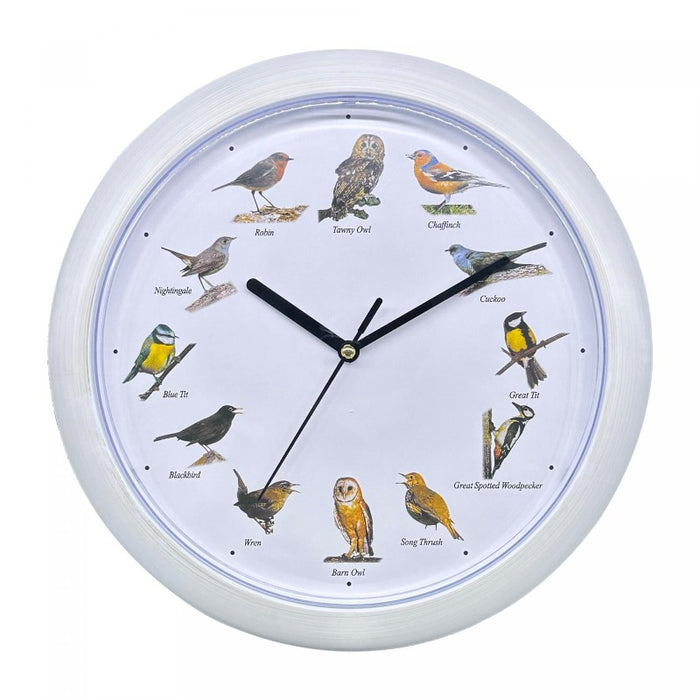 Reloj de pared con sonido de pájaros Europeos - Blanco | BronHome© -Bronmart