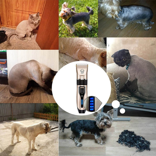 cortar,pelo,perro, maquina,para,cortar,pelo,de,perro, cortadora,de,pelo,para,perros, maquina,cortar,pelo,perro, corte,de,pelo,para,perros, corte de,pelo schnauzer, corte,de,pelo,yorkshire, maquina,de,cortar,pelo,de,perro, maquina,para,cortar,pelo,a,perros, corte,de,pelo,shih,tzu,