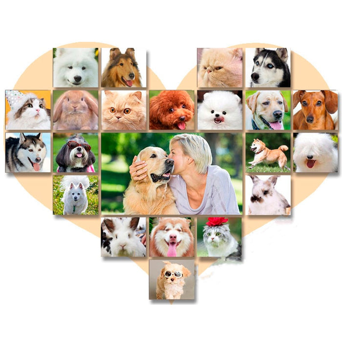 cortar,pelo,perro, maquina,para,cortar,pelo,de,perro, cortadora,de,pelo,para,perros, maquina,cortar,pelo,perro, corte,de,pelo,para,perros, corte de,pelo schnauzer, corte,de,pelo,yorkshire, maquina,de,cortar,pelo,de,perro, maquina,para,cortar,pelo,a,perros, corte,de,pelo,shih,tzu,